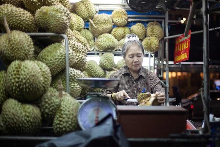 A woman with black grey top knot cuts up durian with knife in front and next to a wall of durian at night time in market stall.