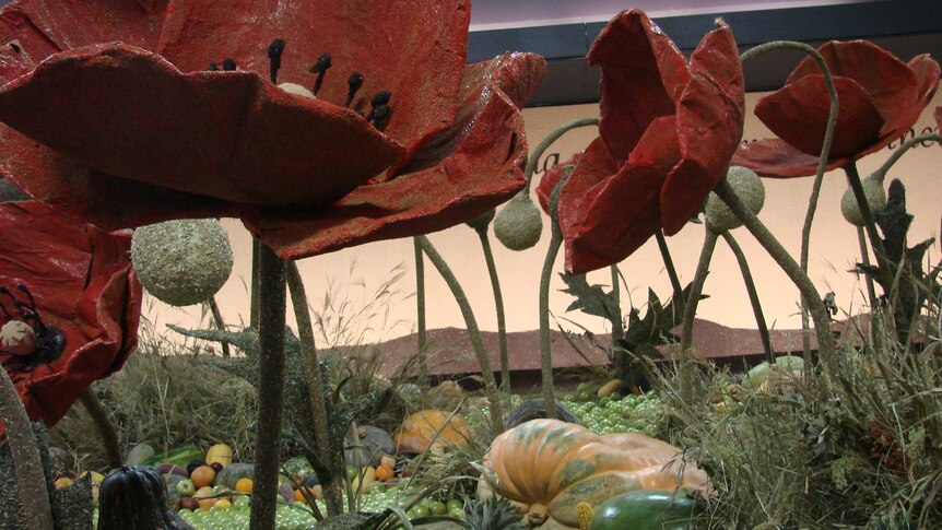 Giant red poppies made from grains stand in a field of green apples.