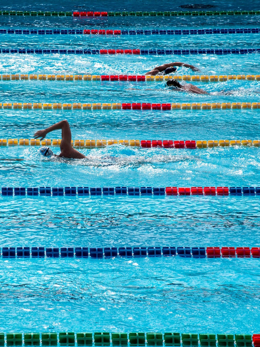 Three people swim in three different swimming pool lanes.