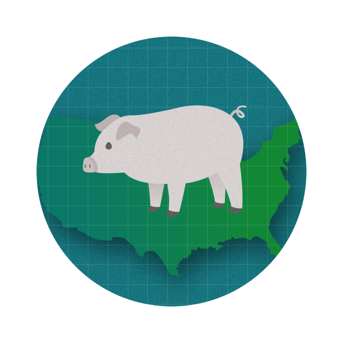 graphic with a pblue circle in the middle of which sits a pig