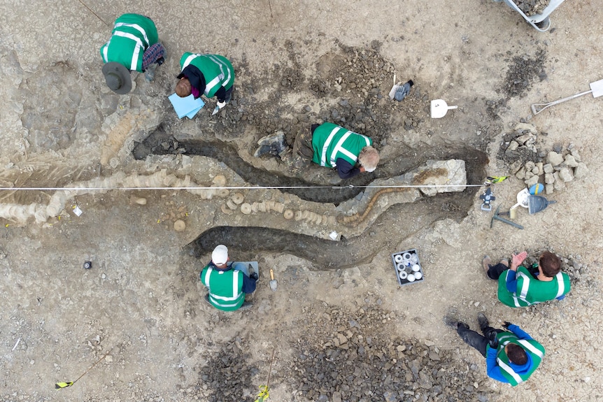 Palaeontologists work at a site where remains of a Britain's largest ichthyosaur were found.
