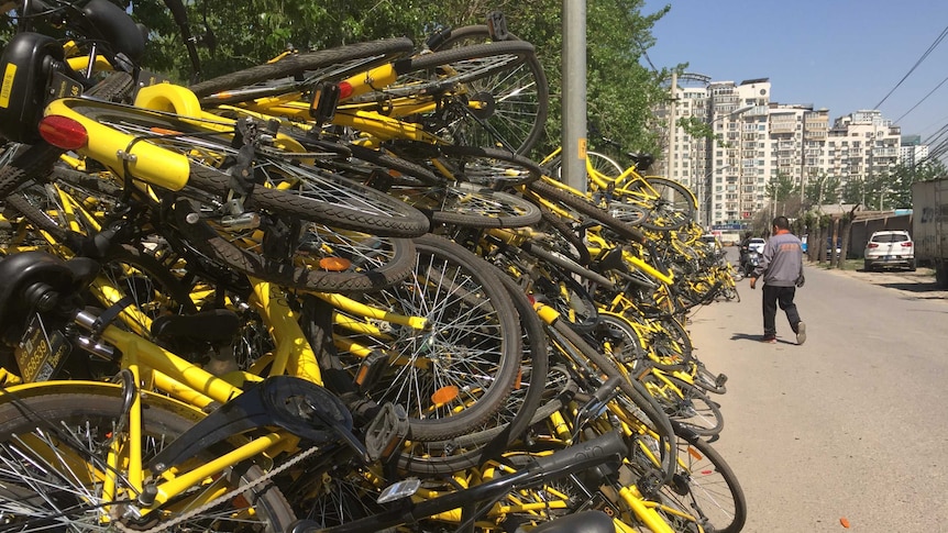 A wall of yellow broken and unused bikes in a Chinese street.