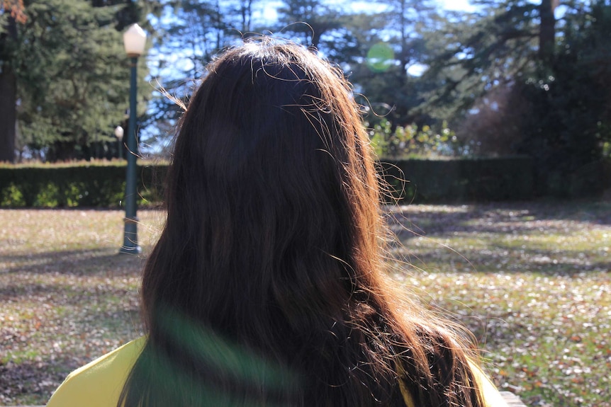 The back of a woman's head