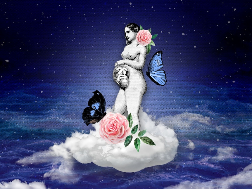 Collage of pregnant woman in clouds with roses and butterflies on dark blue background.