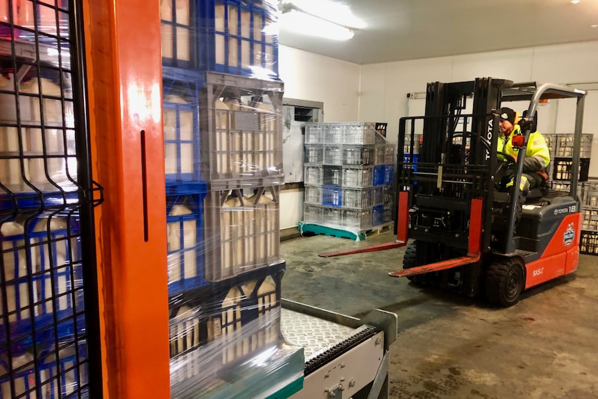 Stacks of milk filled crates and a forklift getting ready to pick it up.