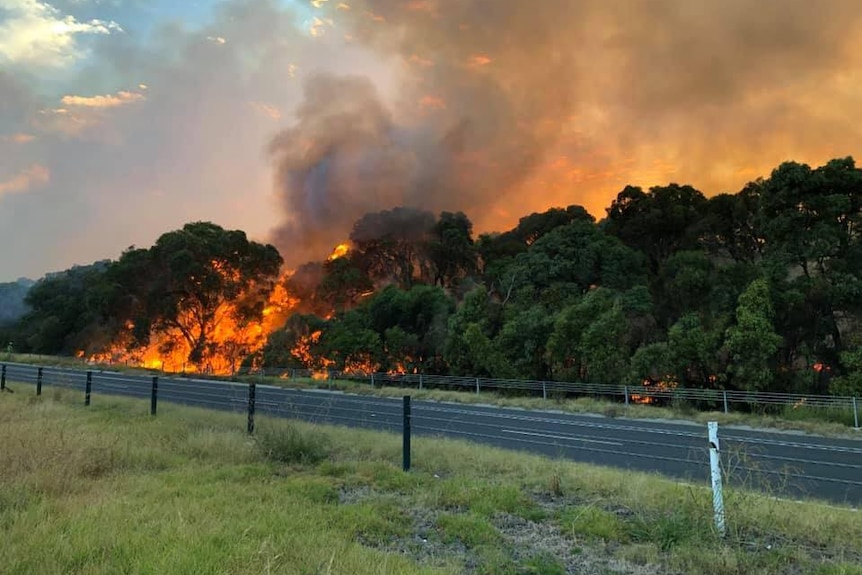 A fire burns in bush by the side of a road.