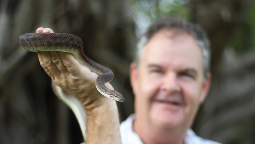 A middle-aged man holds a brown snake.