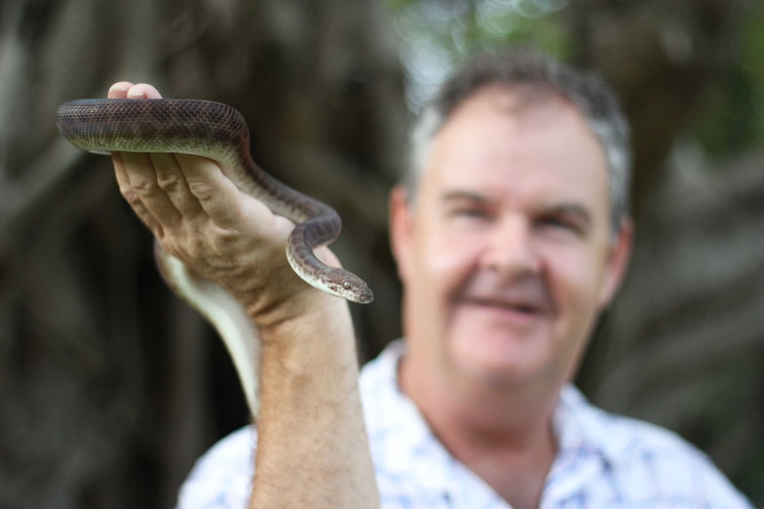 A middle-aged man holds a brown snake.