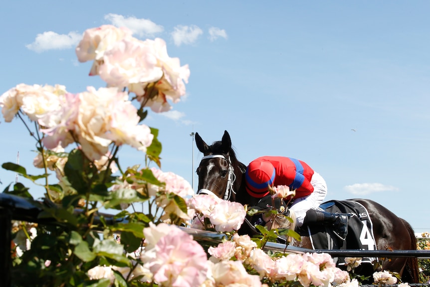 A jockey leans down and puts his arms around the neck of his horse, as they come back after a race, passing a bunch of flowers.