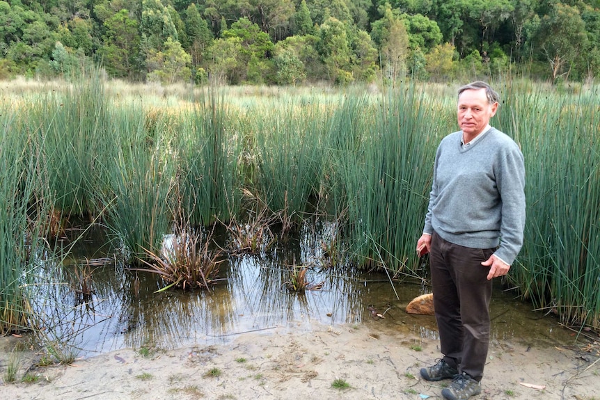 The current water level of Lake Werri Berri, Thirlmere