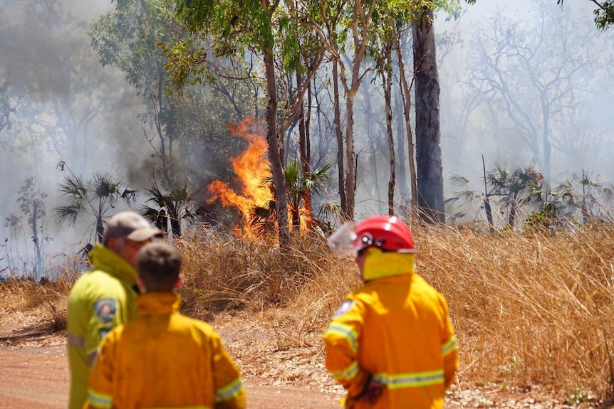 A photo of a group of firefighers standing in front of a fireground.