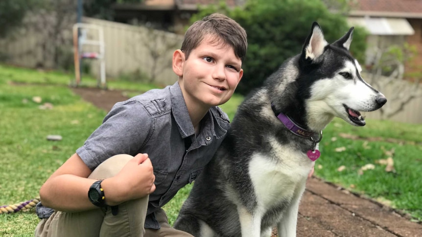 A young boy kneels next to a Husky dog. The boy is smiling, looking just past the camera, while the dog's attention is elsewhere