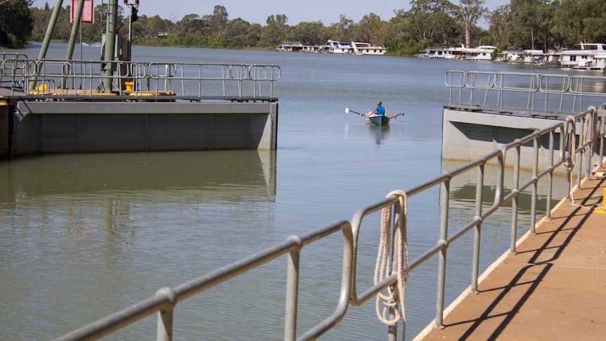 Daniel O'Callaghan rowing through Lock 5 downstream of Renmark on his journey down the length of the River Murray