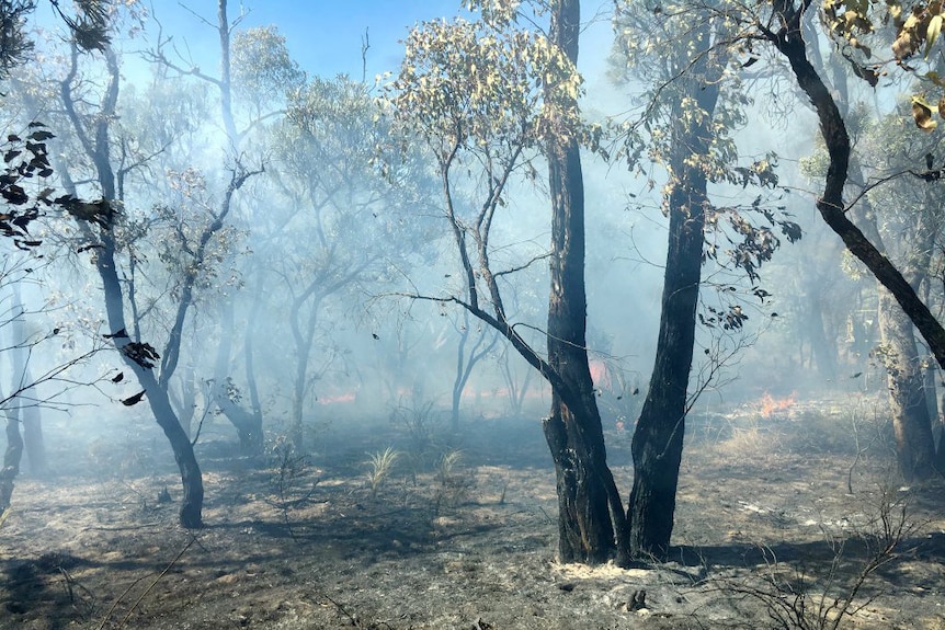 Bibra Lake fire