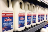 Two litre bottles of Norco milk line the supermarket fridge.