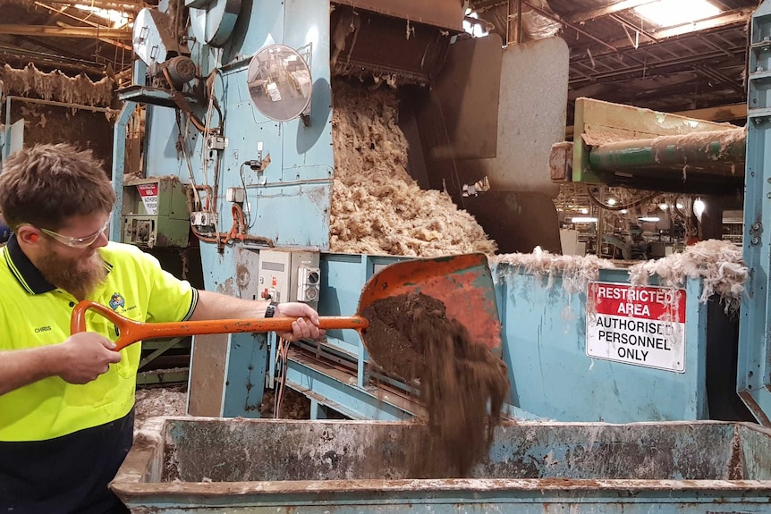 An employee at a wool processing plant shovels dirt that had come from dusty, drought-affected wools