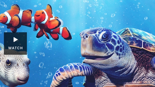 Reef School S2 still image featuring sea life creatures . Has Video.