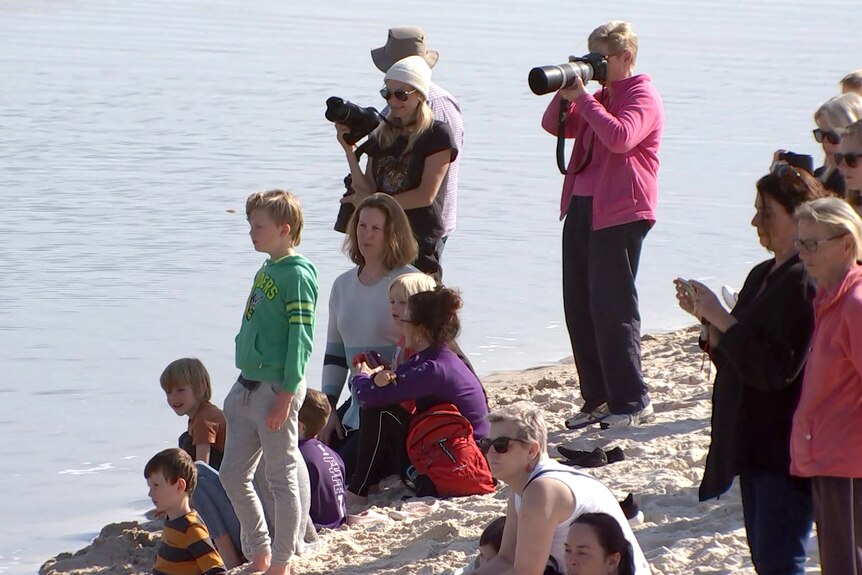 People, many holding cameras, line the shore of a river outlet on a beach