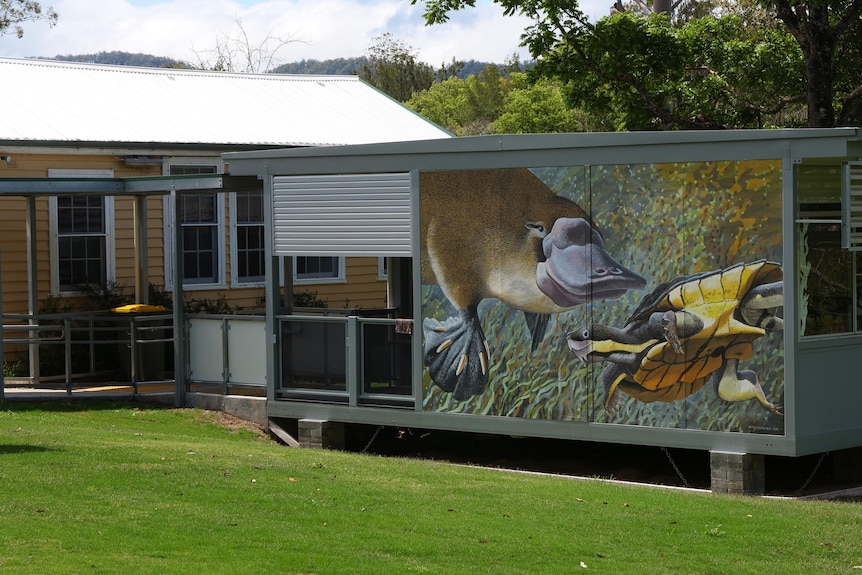 A mural on the side of a school, depicting a platypus and a turtle.