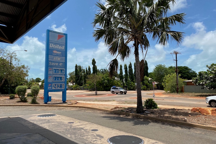 A blue fuel price sign and a palm tree beside the road