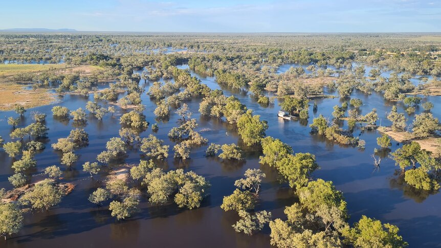 A shot from the sky shows a boat surrounded by floodwaters with trees peaking out on top