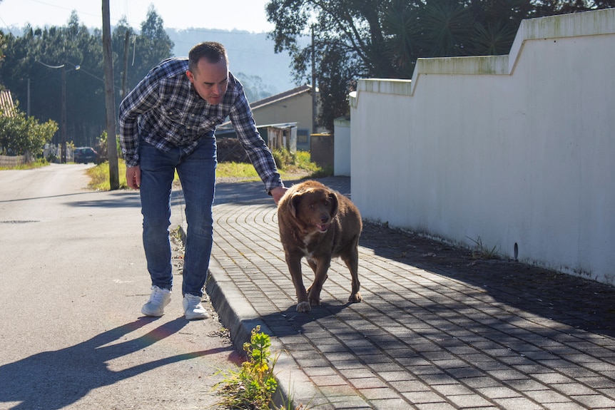 A man crouches down to pat a dog as it walks. 