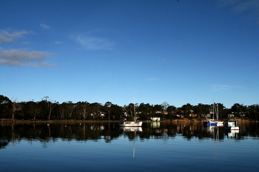 Yachts moored in Eggs and Bacon Bay in Tasmania