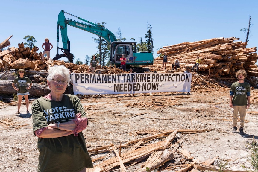 Protesters interrupt logging operations in the Tarkine