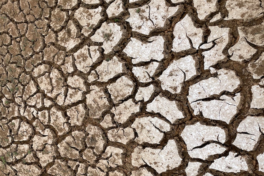 The ground in Channel Country includes sections of dried, cracked mud