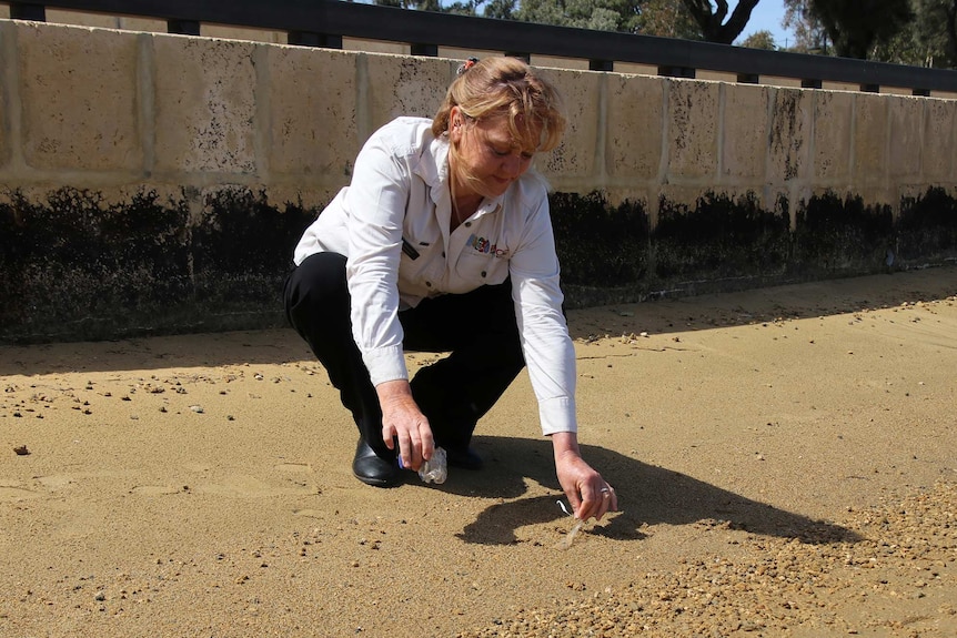 A woman wearing a white shirt and black pants crouches down on a beach to collect rubbish.