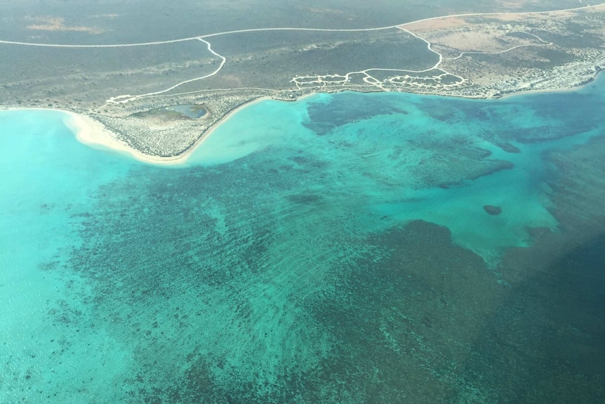 aerial view of reef