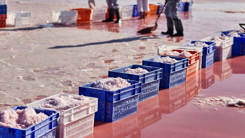 On the pink surface of the lake sits a row of colourful bins full of salt.