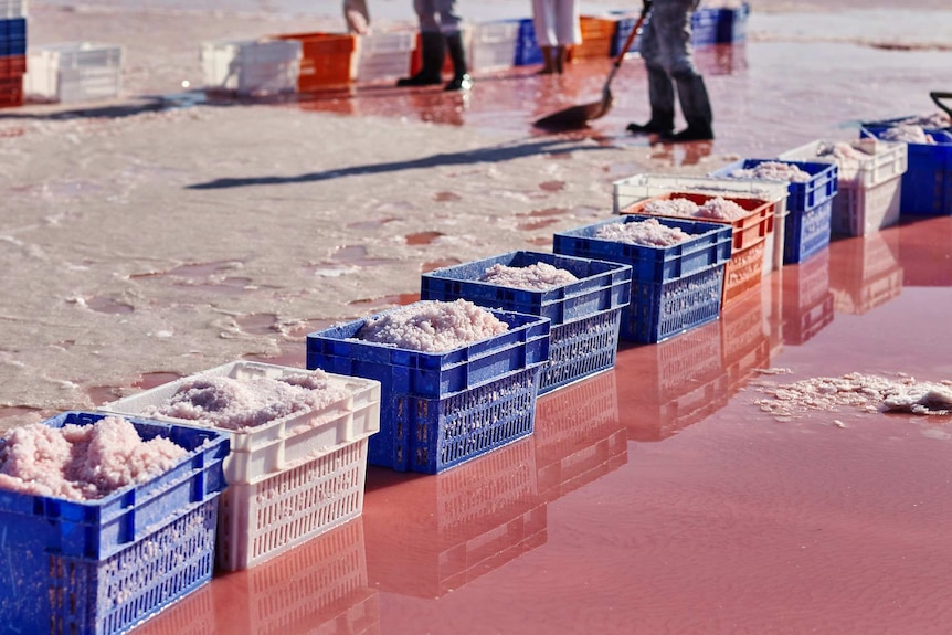 Crates of pink salt in a row at Pink Lake in Victoria.