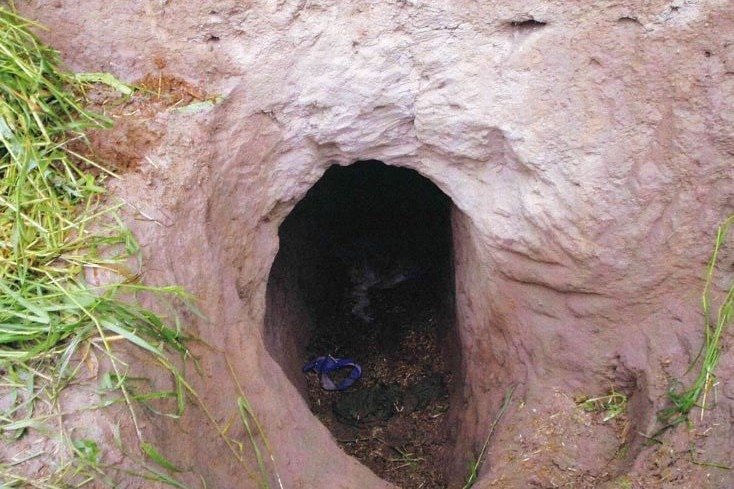 Opening of tunnel