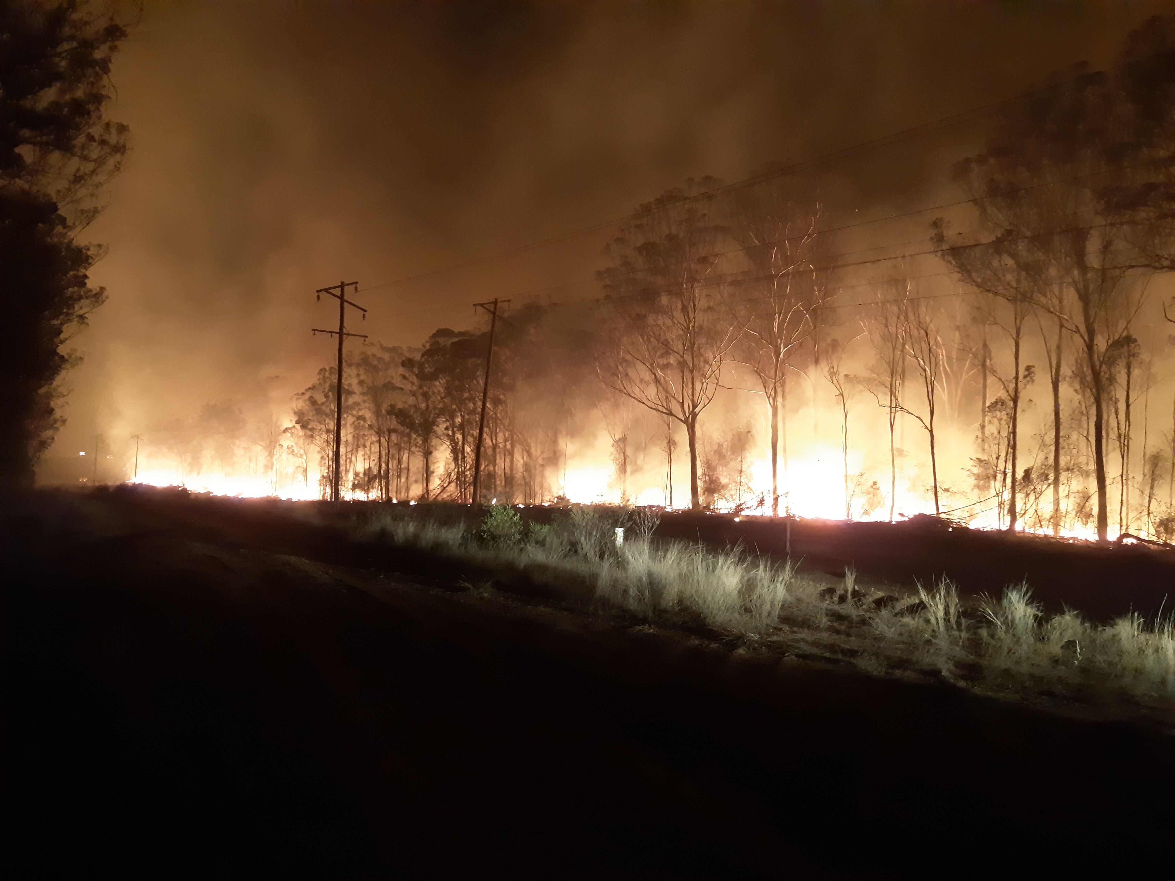 Un incendio forestal al costado de la carretera