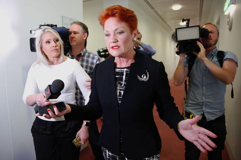 One Nation Senator Pauline Hanson talks to the media.