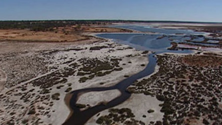 Mr Rann wants an independent body to manage the Murray-Darling river system.