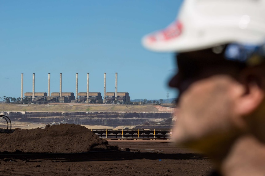 The eight chimneys of the Hazelwood power plant.