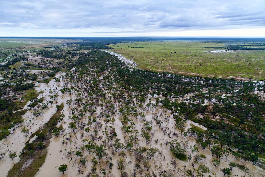 Flooding at Shandonvale Station, north east of Barcaldine