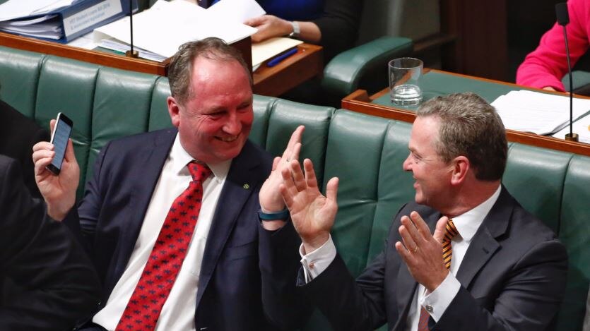 Deputy Prime Minister Barnaby Joyce and Minister Christopher Pyne seem jovial during Question Time.