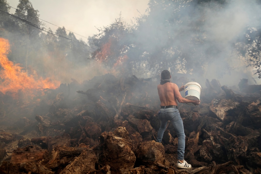 A man stands with his back to the camera, using a bucket to pour water on a vegetation fire. 