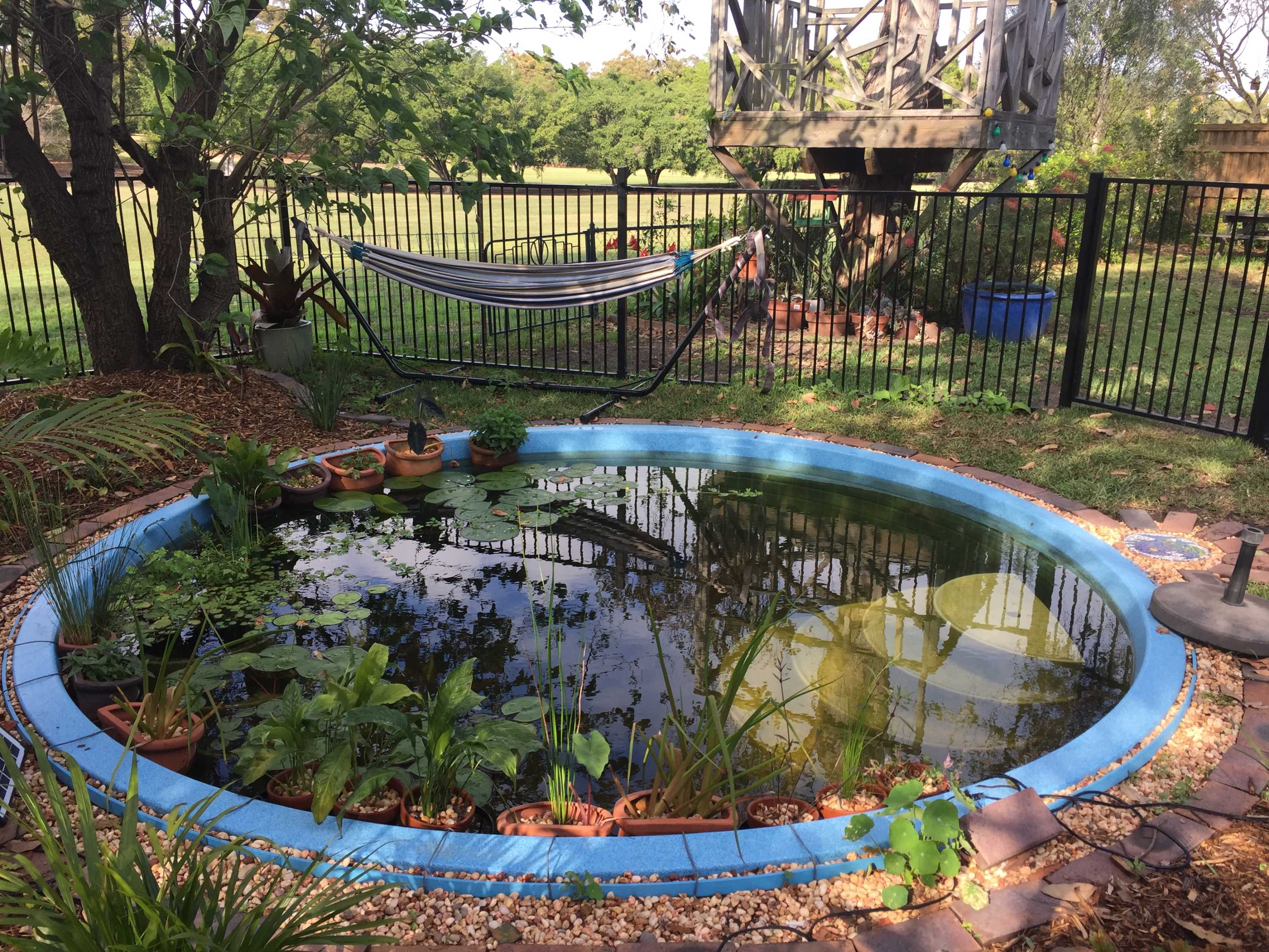 Using fish and plants instead of chlorine saves backyard pool owners