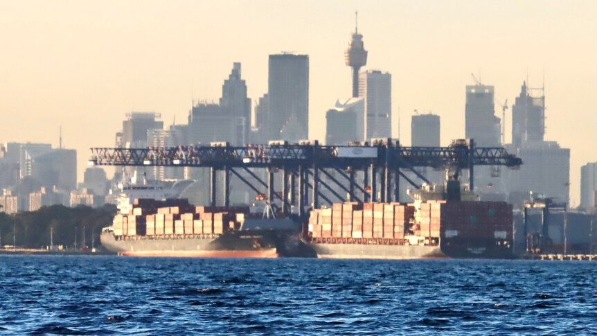 Container ships sit docked with a crane in the background and Sydney's CBD in the distance.