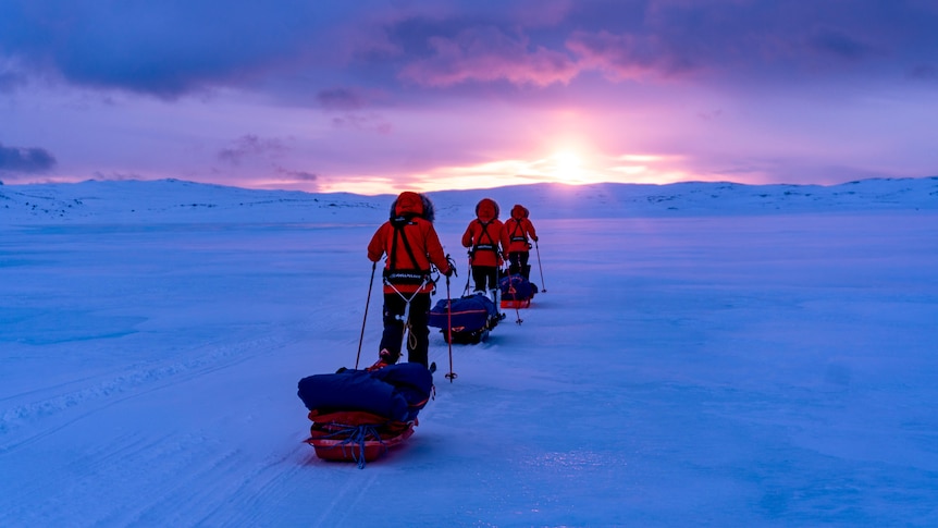 The people in warm clothes and on skis trek across ice in the arctic as the sun begins to rise.