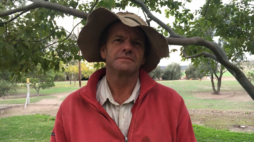 Farmer Pat Murphy poses in front of a tree