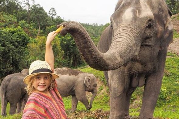 A girl looks at the camera while feeding fruit to an elephant.