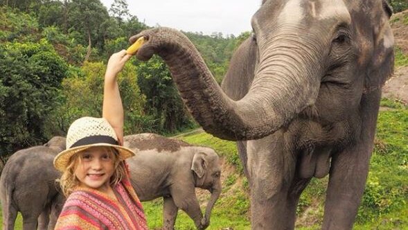 A girl looks at the camera while feeding fruit to an elephant.