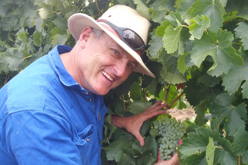 Orange vigneron Justin Jarrett with grapes at his vineyard.