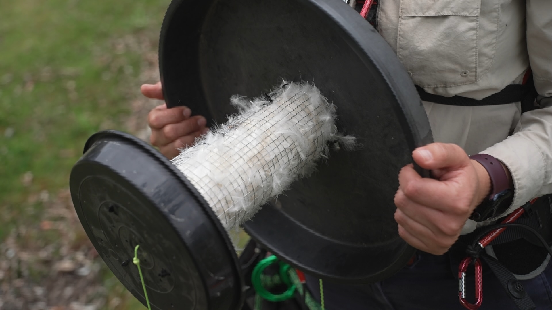Una jaula hecha a medida entre dos piezas redondas de plástico negro está llena de plumas blancas.