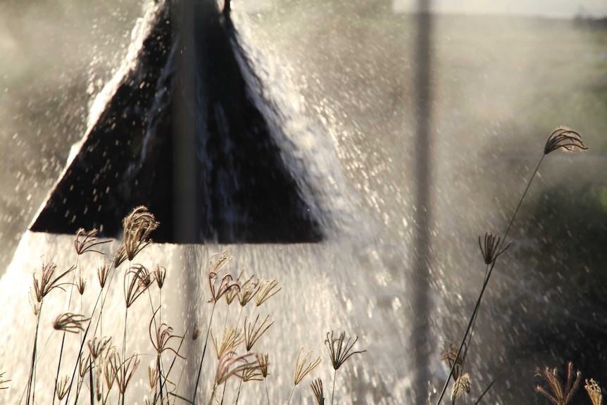 Water on a rural property